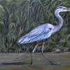 Blue Heron