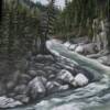 Cheakamus River